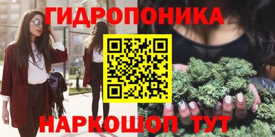 хмурый Кандалакша