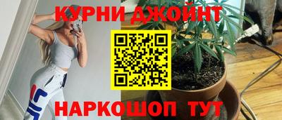 мдпв Камышлов