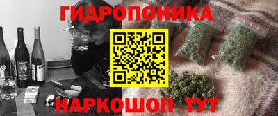 мдпв Камышлов