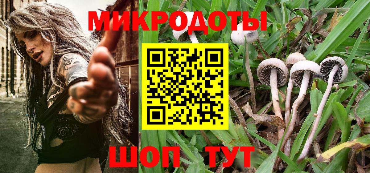 Кубинка  сколько стоит  Вход с VPN  Псилоцибиновые грибы Magic Shrooms 